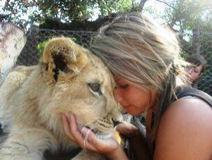 Wild Game Reserve Experience South Africa | Go Discover Abroad
